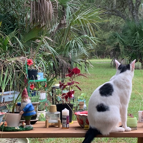 Meet your Posher, Cameron - Picture 16 of 16